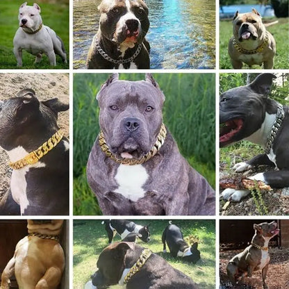 Collage of muscular dogs wearing 19mm strong metal titanium steel chain collars in outdoor settings