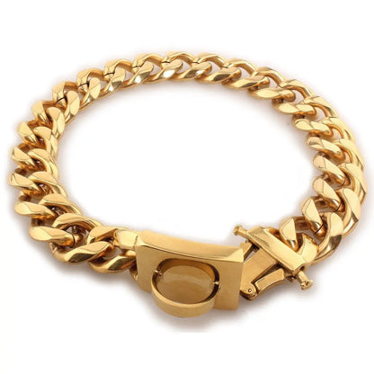 Close-up of 19mm strong metal dog chain in polished gold-tone titanium steel with secure clasp detail