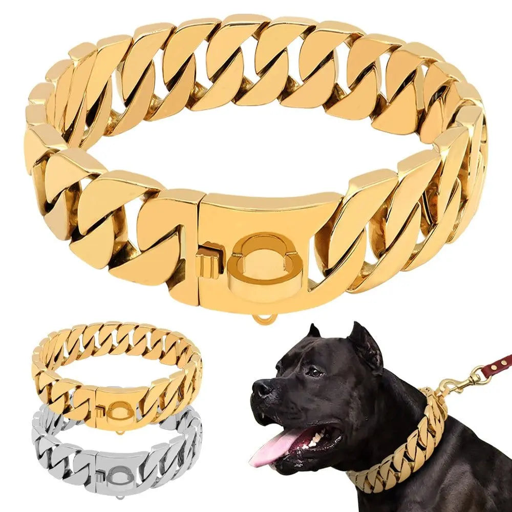Gold-tone 19mm strong metal dog chain collar with sturdy clasp shown with black dog and silver option below