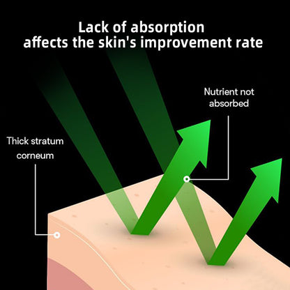 Aloe Moisturizing Centella Asiatica Propolis Liquid
