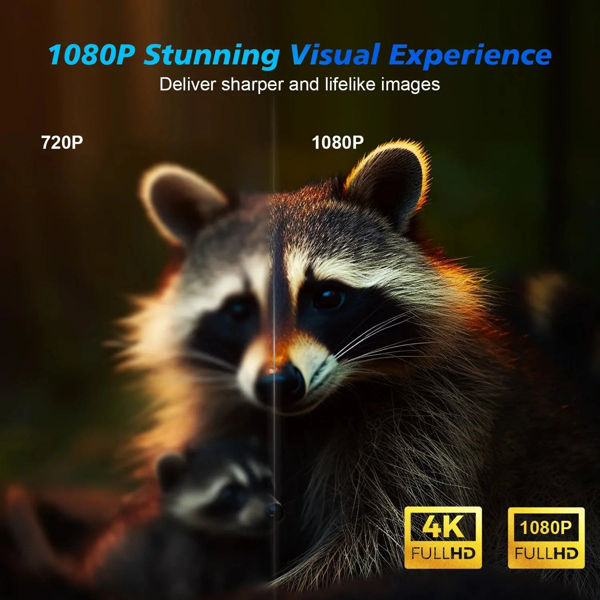 Comparison image showing raccoon with 720P resolution on left and sharper 1080P resolution on right side