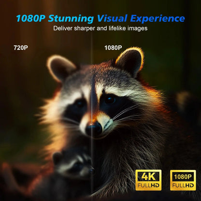 Comparison image showing raccoon with 720P resolution on left and sharper 1080P resolution on right side