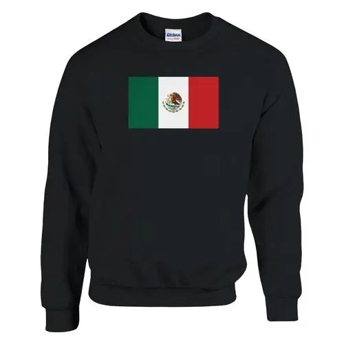 Black classic crewneck sweatshirt featuring a centered Mexican flag printed on soft cotton-polyester blend fabric