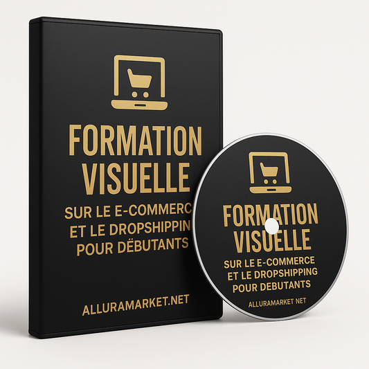 formation visuelle sur le e-commerce et le dropshipping pour débutants