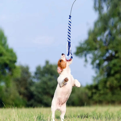 Small dog jumping to catch blue and white striped retractable dog toy stick outdoors on grass field