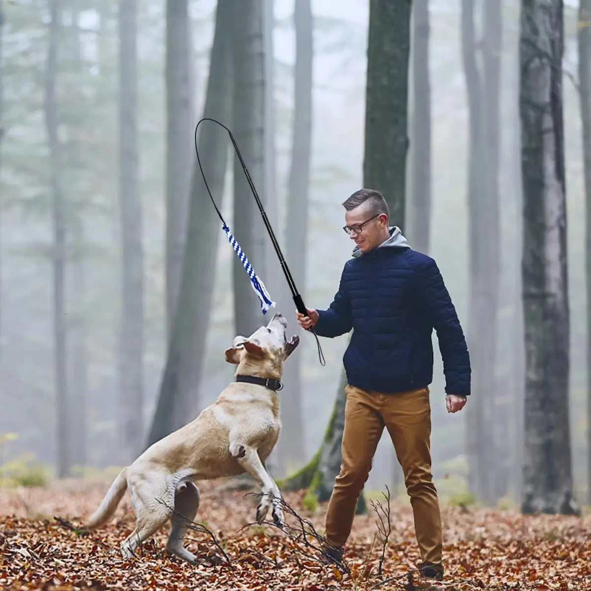 Man playing with labrador dog using retractable flirt pole toy in autumn forest setting